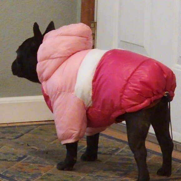 Other - Dog Winter Coat Waterproof Warm Cold Weather Jacket Stylish Puppy Vest